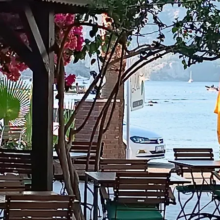 Dut Selimiye *