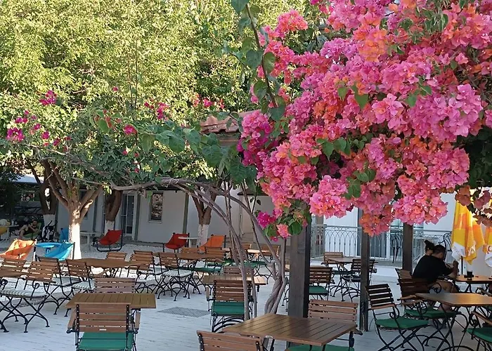 Dut Selimiye Hotel *